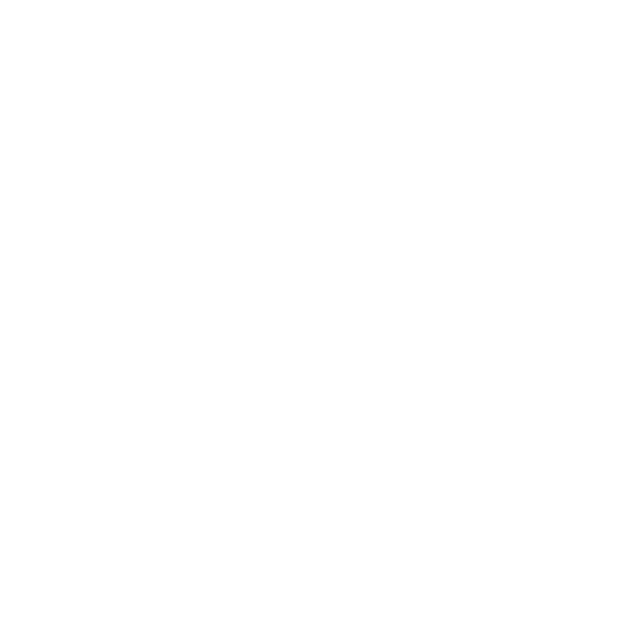 BALLIN Logo
